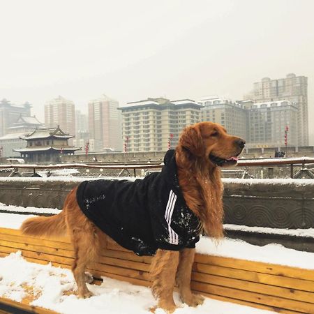 Jano'S Backpackers Xi'An Hostel Xi'an  Luaran gambar