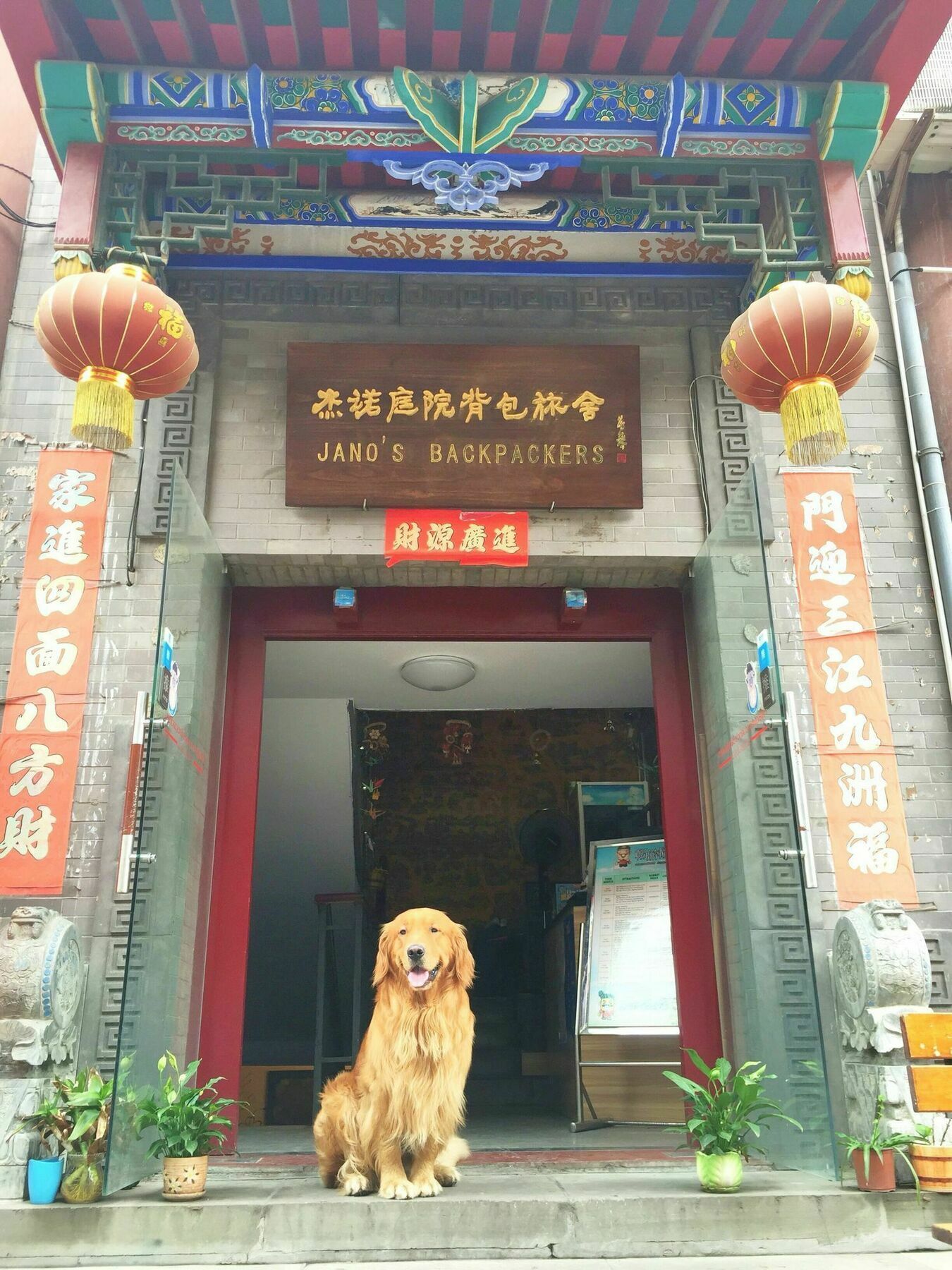 Jano'S Backpackers Xi'An Hostel Xi'an  Luaran gambar